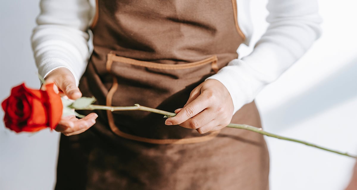 תעסוקת נשים (צילום: Pexels)