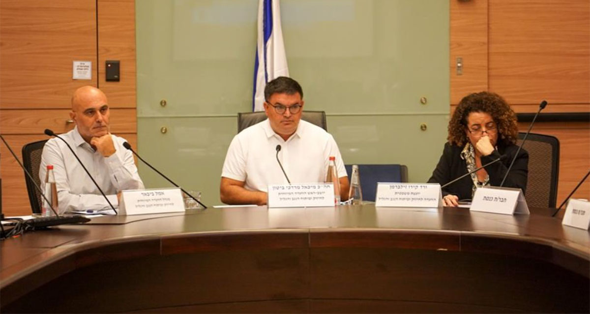 ועדת השיכון והבינוי בכנסת (צילום: דוברות הכנסת)