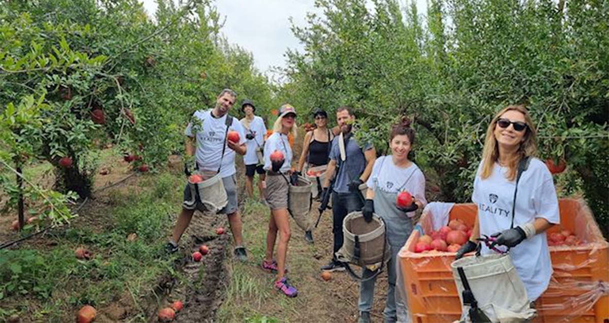 נשות העורף מתגייסות (צילום: באדיבות ריאליטי)