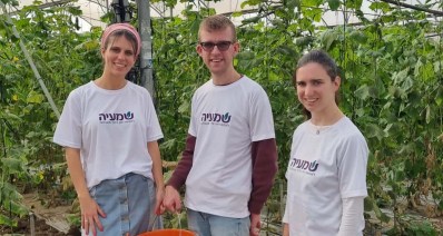 חיבורים בחקלאות (צילום: ארגון שמעיה)