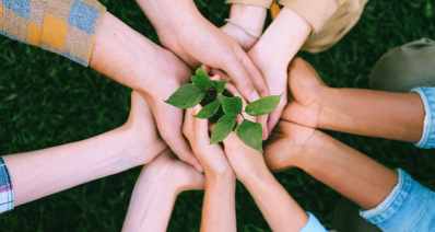 מתנדבים (צילום: אנה שבץ, Pexels)