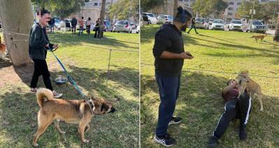 פעילות מגבשת עם כלבים והמתמודדים עם אתגרים נפשיים ורגשיים בבית גיא באר שבע