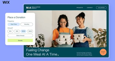 ממשק ה-Wix Donations (מקור: Wix)
