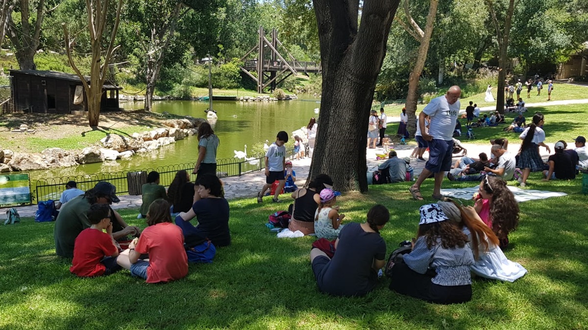 אירועי הקיץ של המעגל של ג'רמי (צילום: ג'ונתן אלבום)