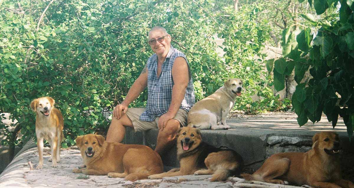 טיפול בכלבים (צילום: Pexels)