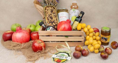 נוי השדה (צילום: סנדרה)