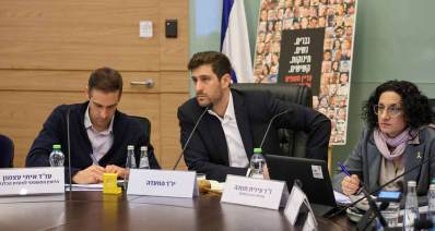 ח"כ משה פסל מהליכוד, יו"ר הוועדה בחדר הישיבות ומאחוריו דגל המדינה. מימינו עו"ד איתי עצמון היועץ המשפטי לוועדת הכלכלה, ומשמאלו ד"ר עידית חנוכה. מאחורי משה פסל מוצב שלט עם הכיתוב: גברים. נשעם. תינוקות. קשישים. עדיין חטופים.