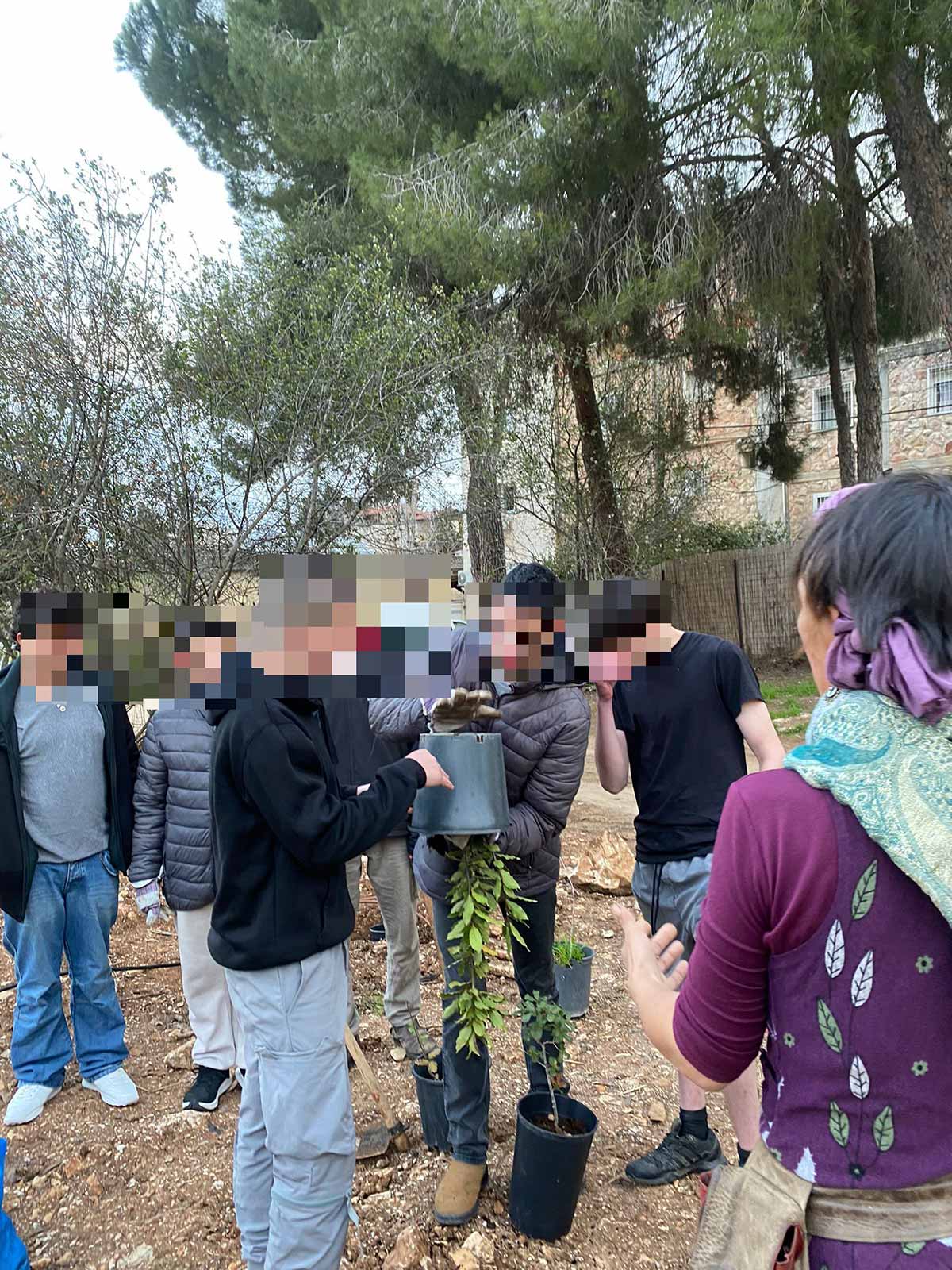 צמיחה והתחדשות בפנימיית רבדים. שני נערים אוחזי שתיל בדלי הפוך במטרה להוציא את השתיל מהדלי. על החול לידם דלי עם צמח נוסף. מספר נערים מביטים בהם.