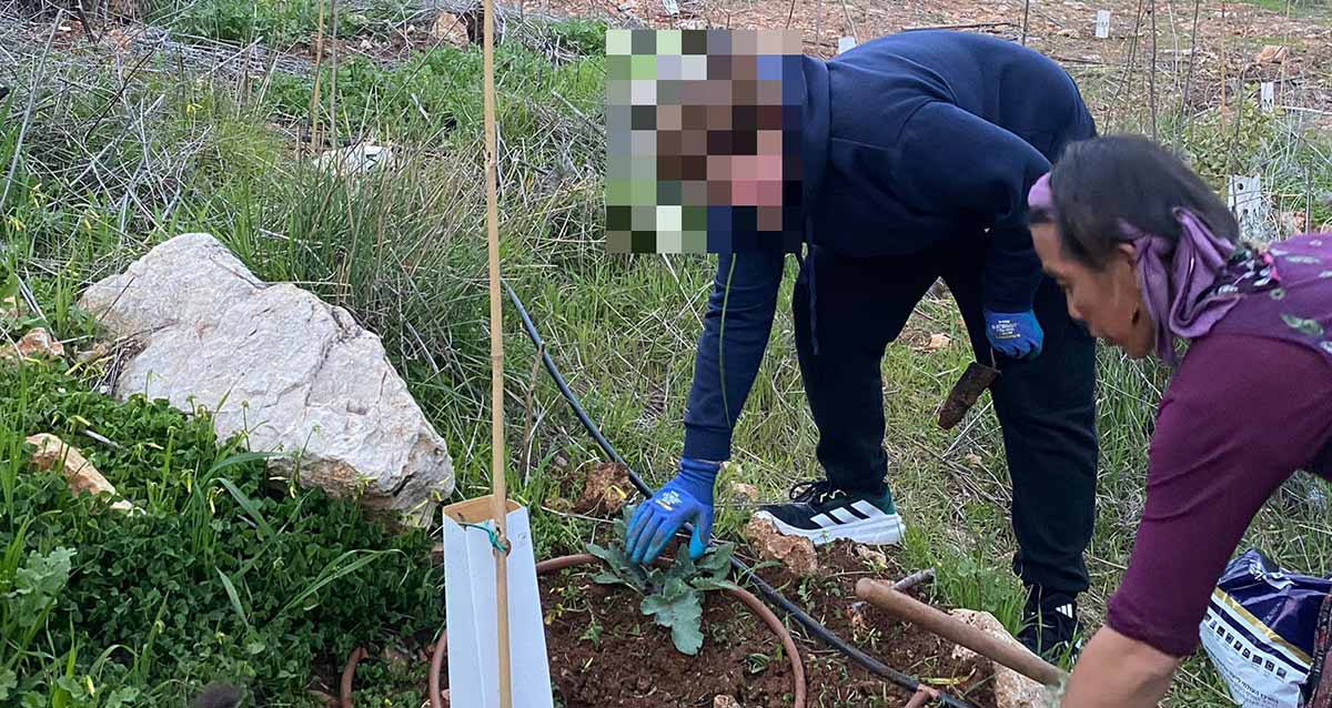 צמיחה והתחדשות בפנימיית רבדים. בחור ובחורה שותלים צמח.