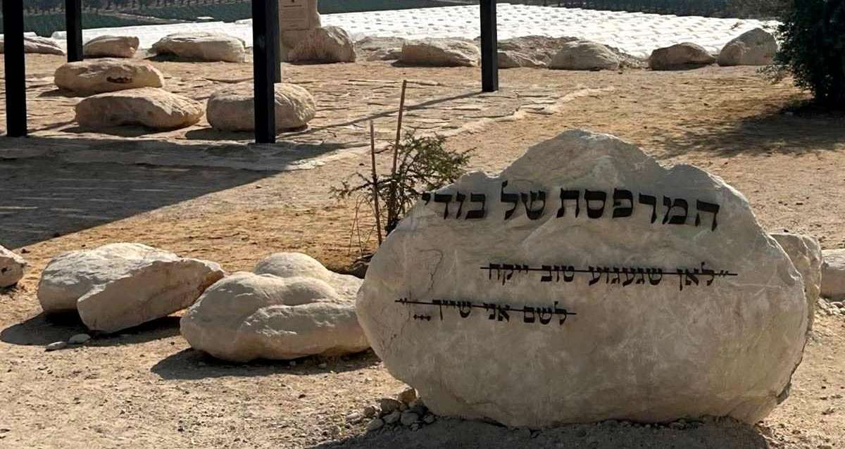 "המרפסת של בודי". צילום: החברים