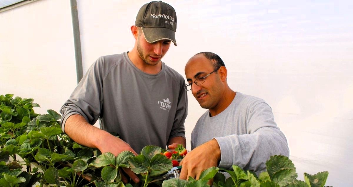 עדי גולד (משמאל) במפעל. צילום: עדי נגב