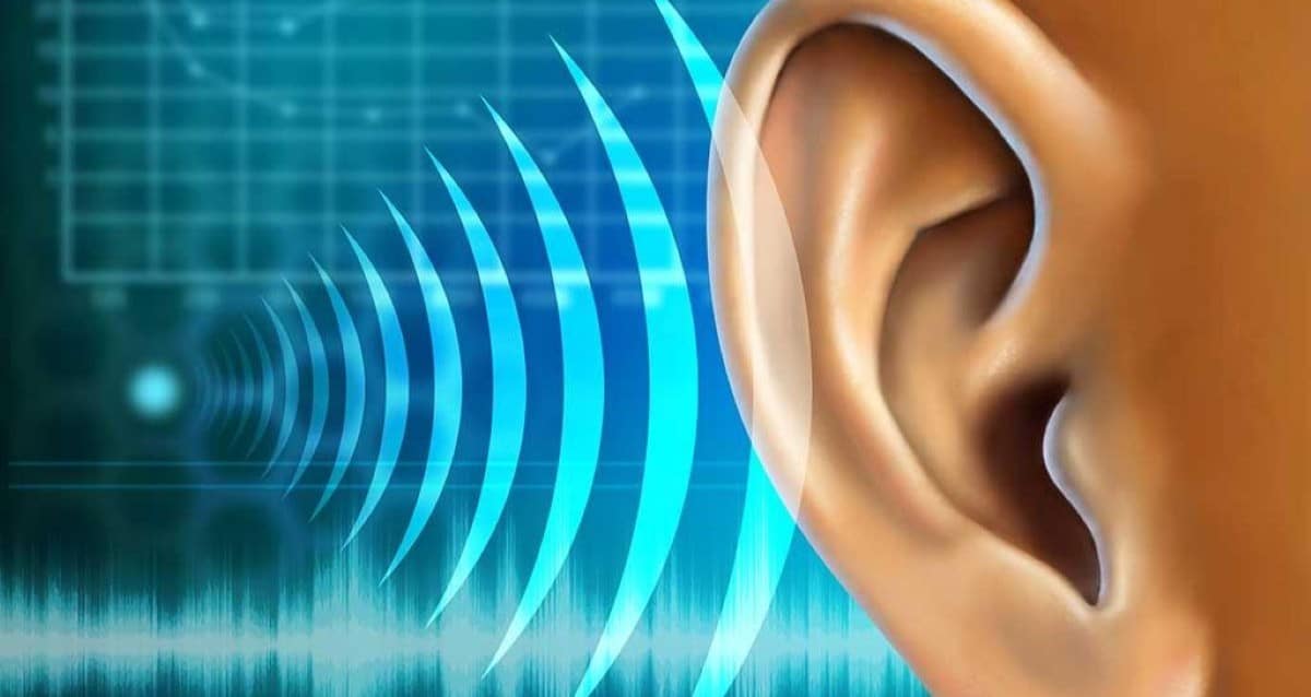 חוש השמיעה. איור AI - מדיה היפר לוקאלית